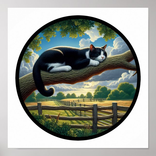 A Circular 3D Image of a Beautiful Tuxedo cat  Poster (Front)