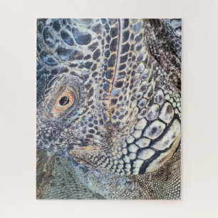 A close up head of a green iguana. Challenging Jigsaw Puzzle