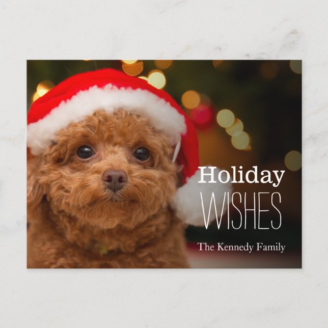 A close up, of a red toy poodle holiday postcard (Front)