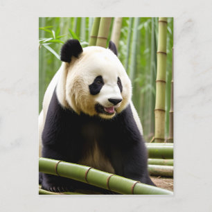 A Close-Up Portrait of a Panda Postcard
