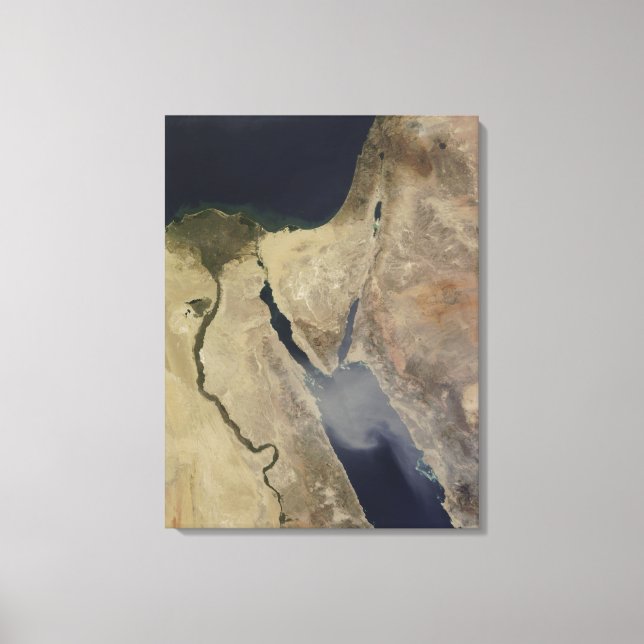 A cloud of tan dust from Saudi Arabia Canvas Print (Front)