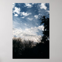 a cloudy backyard