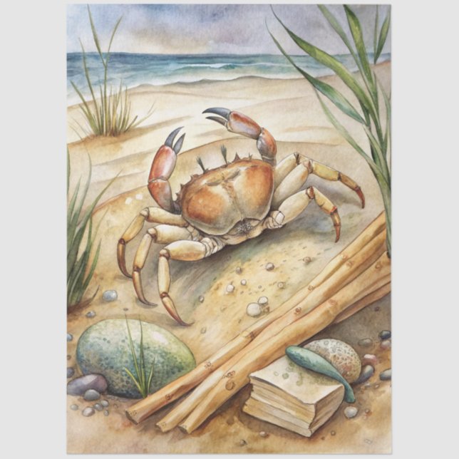 A Coastal Series Design 13 Tissue Paper (Front)