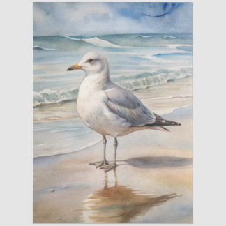 A Coastal Series Design 16 Tissue Paper