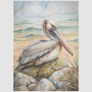 A Coastal Series Design 50 Tissue Paper