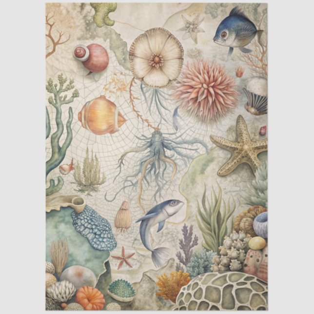 A Coastal Series Design 51 Tissue Paper (Front)