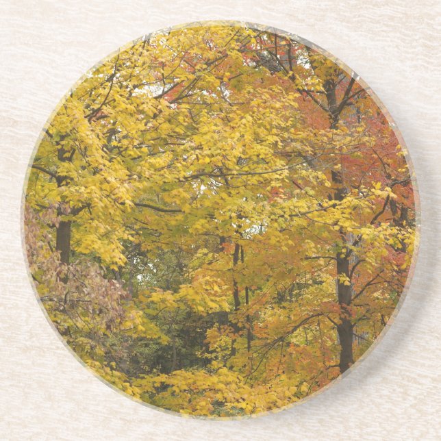 a coaster (Front)
