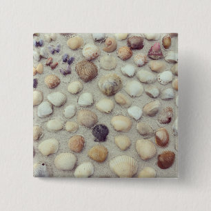 A Collection Of Seashells 2 Inch Square Button