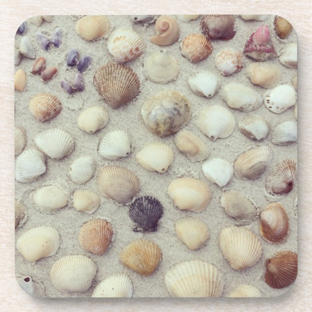 A Collection Of Seashells Coaster (Front)