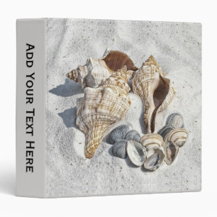 A Collection of Seashells on Sand Binder
