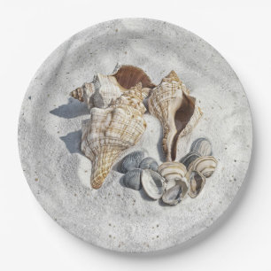 A Collection of Seashells on Sand Paper Plate