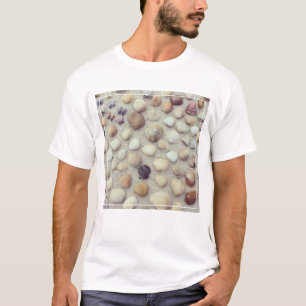A Collection Of Seashells T-Shirt
