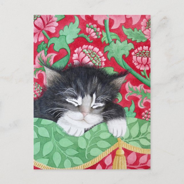 A comfy cat! postcard (Front)