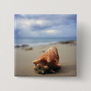 A Conch Shell On The Beach St. Croix, Usvi 2 Inch Square Button