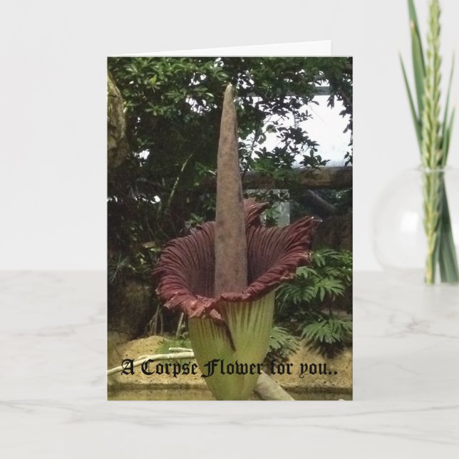 A Corpse Flower for you.. Card (Front)