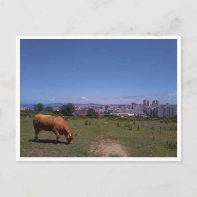 A Coruna, Galicia (Spain) Postcard (Front)