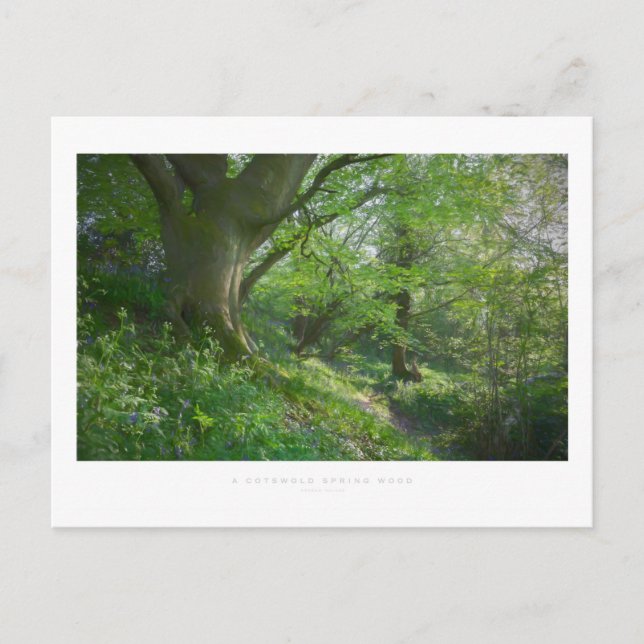 A Cotswold Spring Wood Postcard (Front)