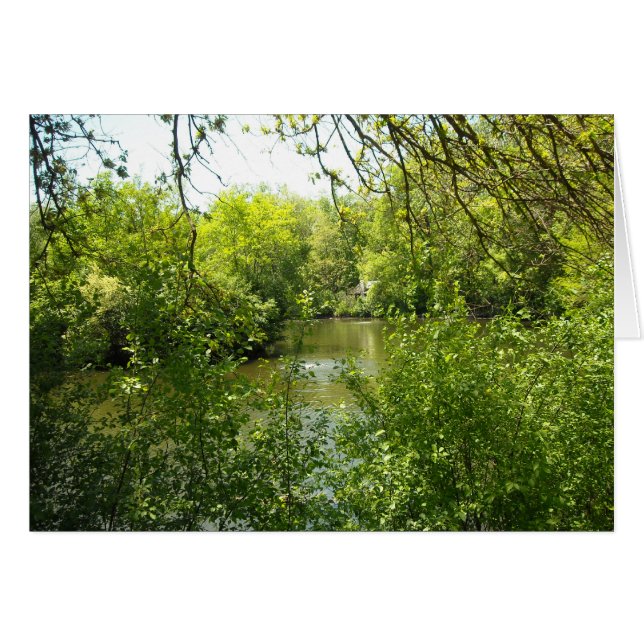 A cottage tucked away (Front Horizontal)