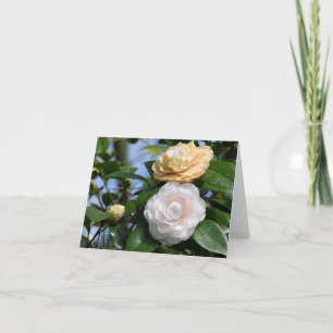A Couple of Camellias Folded Note Card