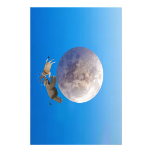 A Cow and an Elephant Jumped Over the Moon  Photo Print