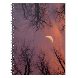 a cozy and serene atmosphere notebook