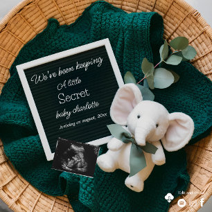 A cozy Neutral basket pregnancy announcement 