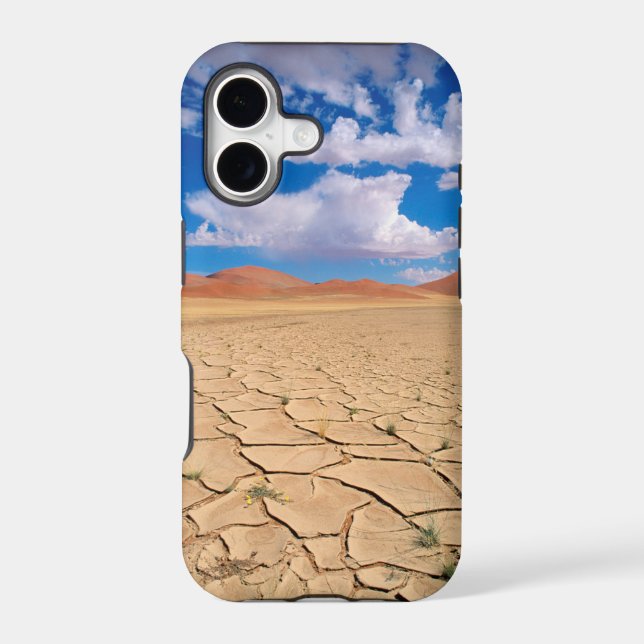 A cracked desert plain (Back)