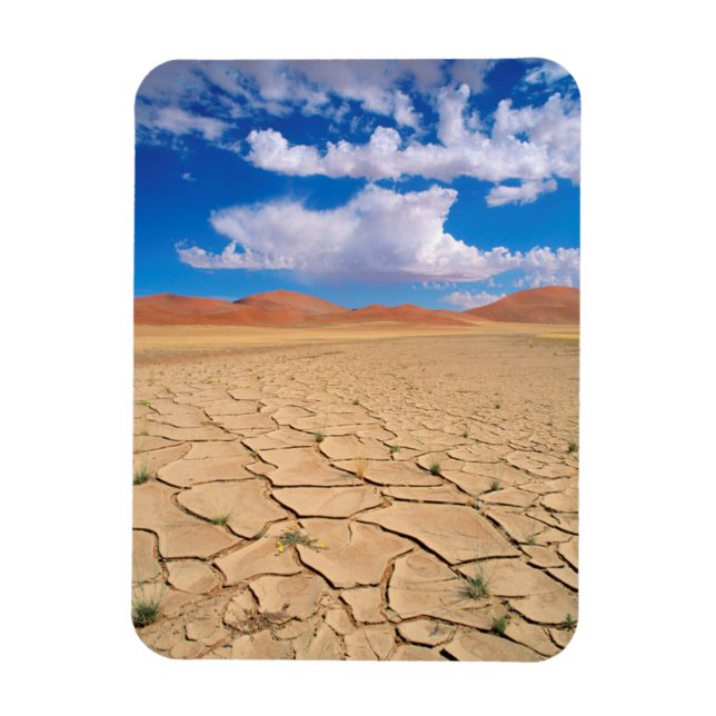 A cracked desert plain magnet (Vertical)