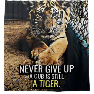 A Cub is still a Tiger