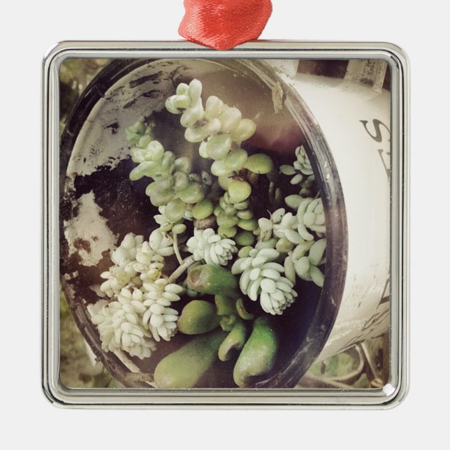 A cup full of succulent plants metal ornament (Front)