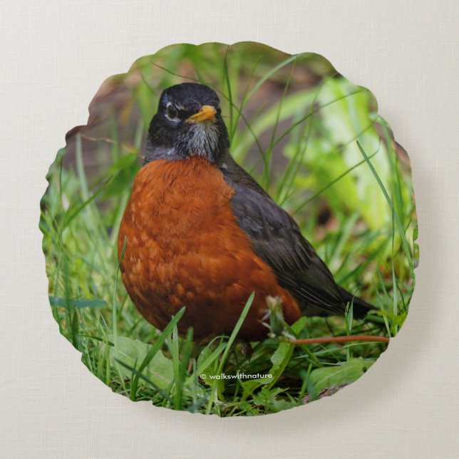 A Curious and Hopeful American Robin Round Pillow (Front)