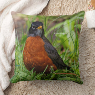 A Curious and Hopeful American Robin Throw Pillow