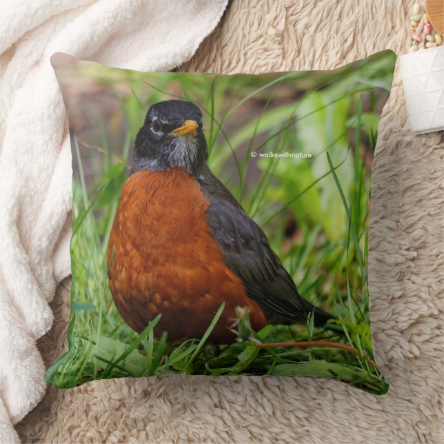 A Curious and Hopeful American Robin Throw Pillow (Blanket)