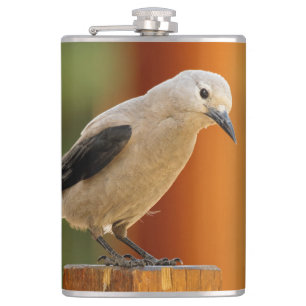 A Curious Clark's Nutcracker Hip Flask
