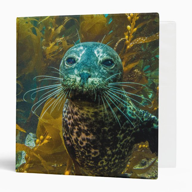 A Curious Harbour Seal Kelp Forest | Santa Barbara Binder (Front/Inside)