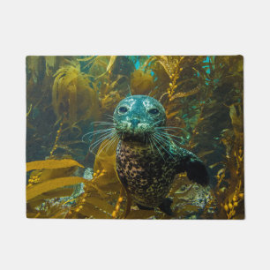 A Curious Harbour Seal Kelp Forest   Santa Barbara Doormat