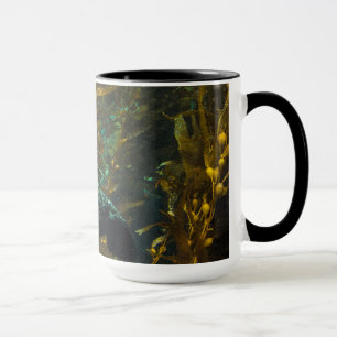 A Curious Harbour Seal Kelp Forest   Santa Barbara Mug