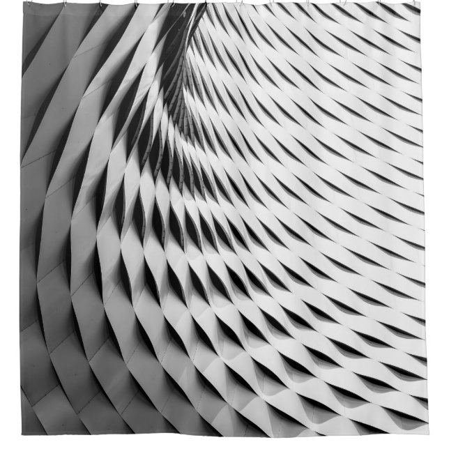 A CURVED FACADE COVERED IN WHITE LATTICEWORK (Front)