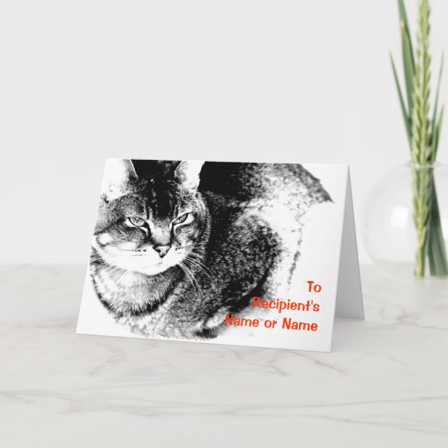 A Customizable 'Any Occasion' Greeting Card - Cat (Front)