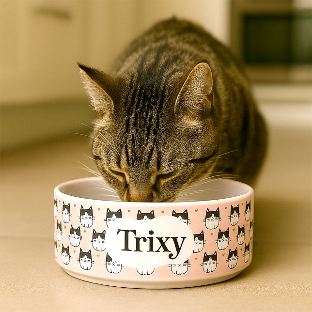 A Cute and Personalised Cats Bowl (Personalised  cat bowl with illustrations of cats and editable name)