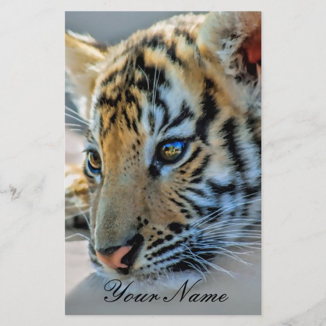 A cute baby tiger (Front)