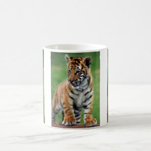 A cute baby tiger coffee mug