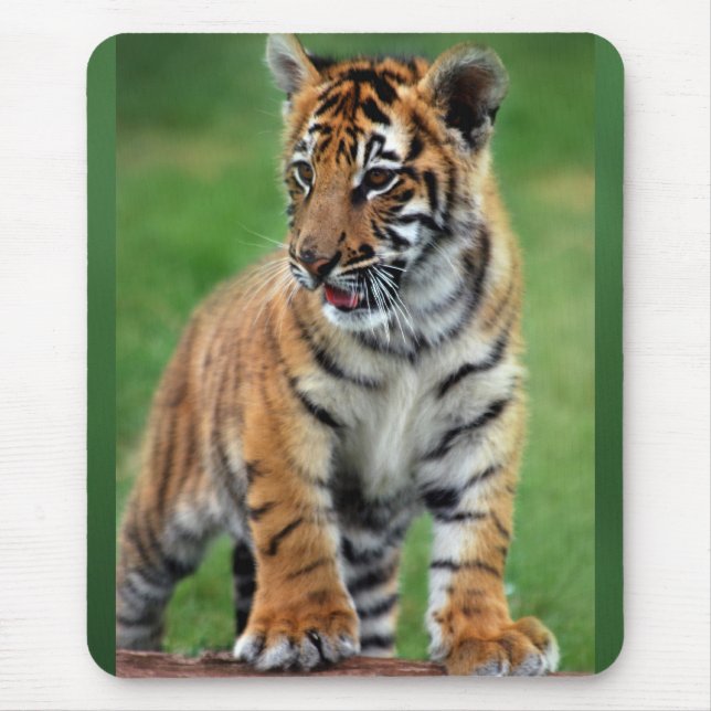 A cute baby tiger mouse pad (Front)