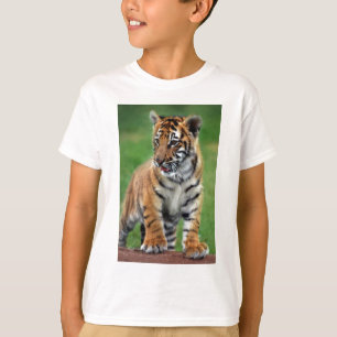 A cute baby tiger T-Shirt