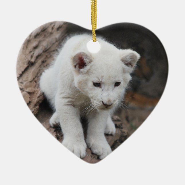 A cute baby white lion ceramic ornament (Front)