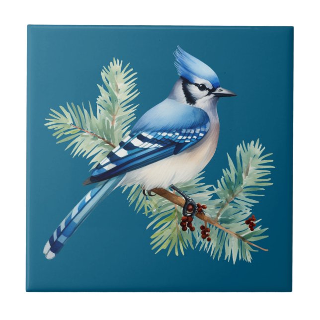 A Cute Blue Jay  Tile (Front)