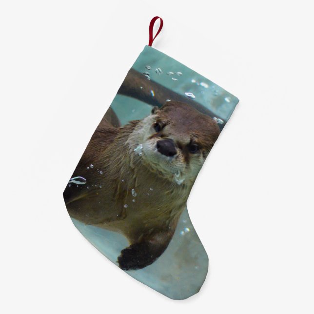 A cute Brown otter swimming in a clear blue pool Small Christmas Stocking (Front (Hanging))
