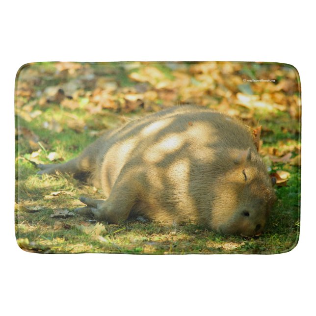 A Cute Capybara Dreams in the Summer Sun Bath Mat (Front)