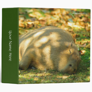 A Cute Capybara Dreams in the Summer Sun Binder