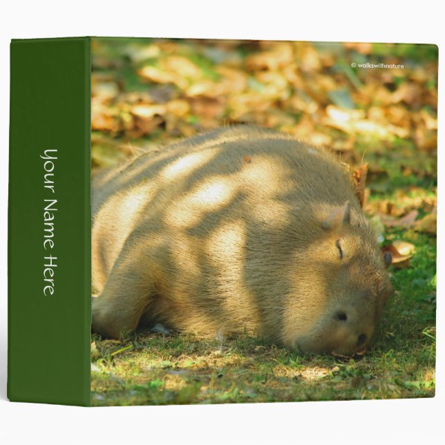 A Cute Capybara Dreams in the Summer Sun Binder (Front/Spine)